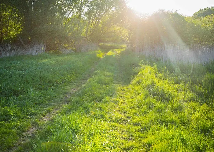 Neu! Ulenhuus Mecklenburgische Schweiz - Familienurlaube Bis Zu 12 Personen Апартаменты *