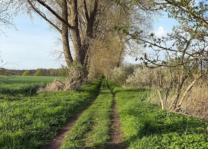 Neu! Ulenhuus Mecklenburgische Schweiz - Familienurlaube Bis Zu 12 Personen