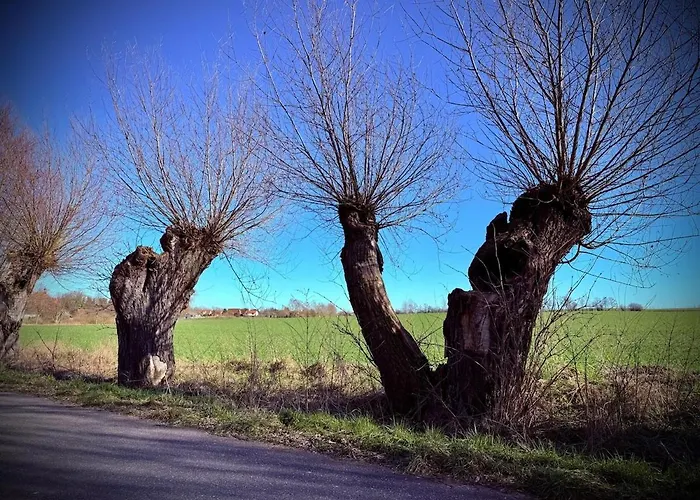 Neu! Ulenhuus Mecklenburgische Schweiz - Familienurlaube Bis Zu 12 Personen