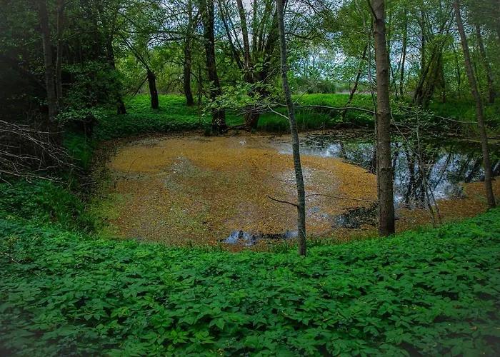 Neu! Ulenhuus Mecklenburgische Schweiz - Familienurlaube Bis Zu 12 Personen Kuhs