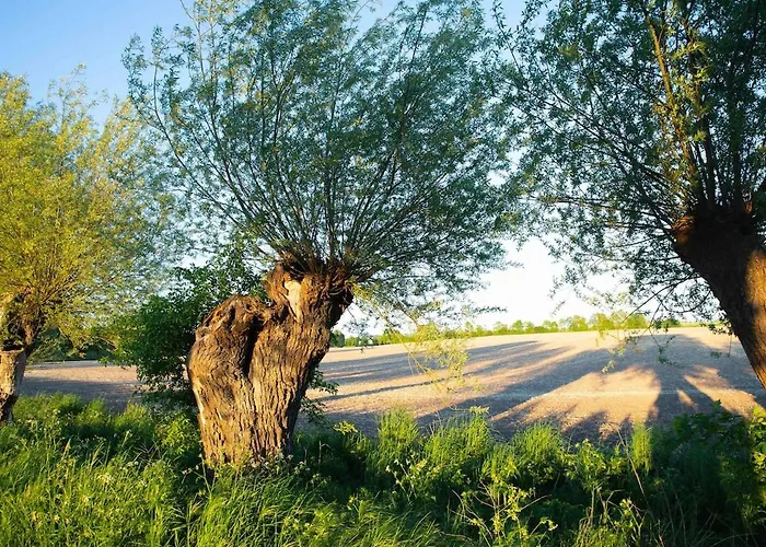 Апартаменты Neu! Ulenhuus Mecklenburgische Schweiz - Familienurlaube Bis Zu 12 Personen