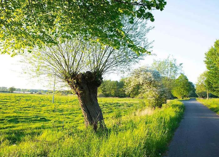 Апартаменты Neu! Ulenhuus Mecklenburgische Schweiz - Familienurlaube Bis Zu 12 Personen Kuhs