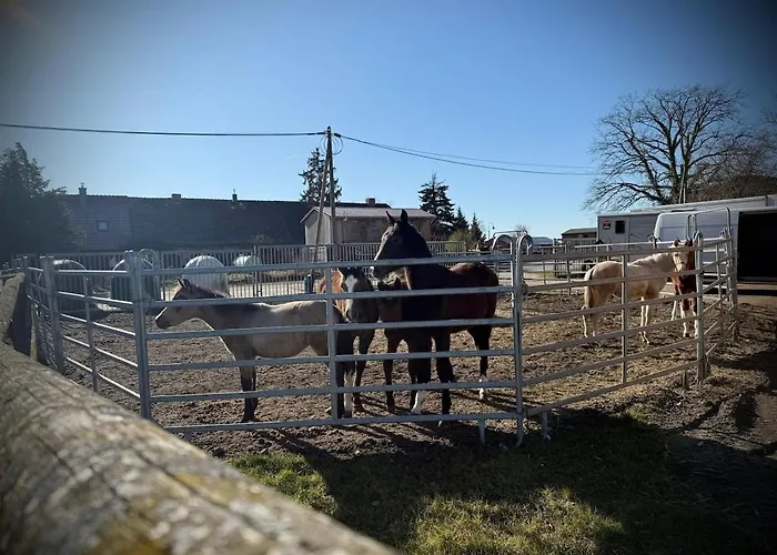 Neu! Ulenhuus Mecklenburgische Schweiz - Familienurlaube Bis Zu 12 Personen Kuhs