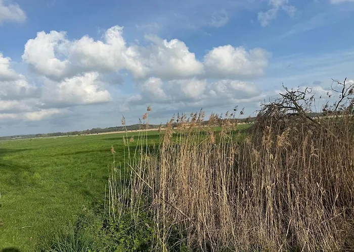 Neu! Ulenhuus Mecklenburgische Schweiz - Familienurlaube Bis Zu 12 Personen Апартаменты *