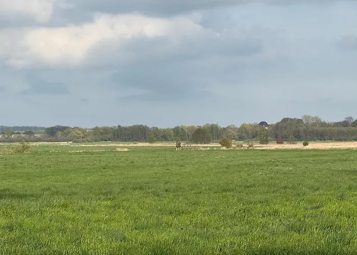 Neu! Ulenhuus Mecklenburgische Schweiz - Familienurlaube Bis Zu 12 Personen Апартаменты Kuhs