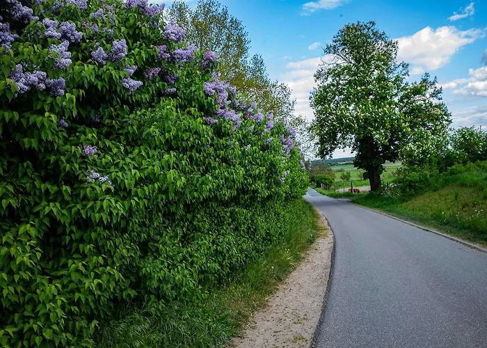 Апартаменты Neu! Ulenhuus Mecklenburgische Schweiz - Familienurlaube Bis Zu 12 Personen