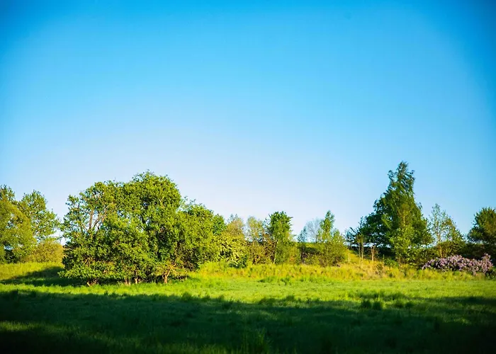 Neu! Ulenhuus Mecklenburgische Schweiz - Familienurlaube Bis Zu 12 Personen Апартаменты Kuhs
