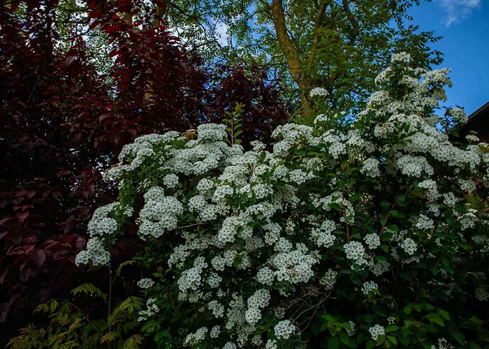 Neu! Ulenhuus Mecklenburgische Schweiz - Familienurlaube Bis Zu 12 Personen *