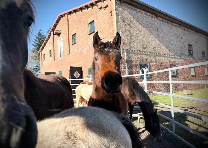Апартаменты Neu! Ulenhuus Mecklenburgische Schweiz - Familienurlaube Bis Zu 12 Personen Kuhs
