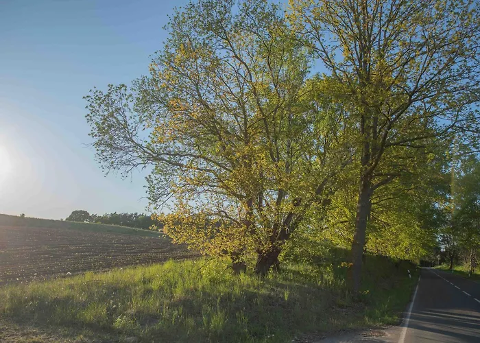 Апартаменты Neu! Ulenhuus Mecklenburgische Schweiz - Familienurlaube Bis Zu 12 Personen *