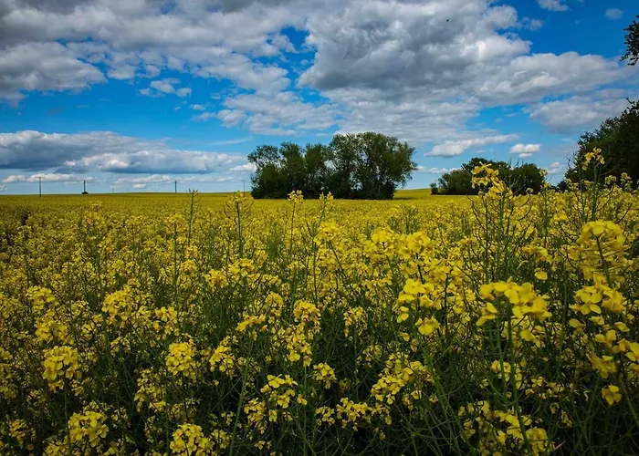 Neu! Ulenhuus Mecklenburgische Schweiz - Familienurlaube Bis Zu 12 Personen *