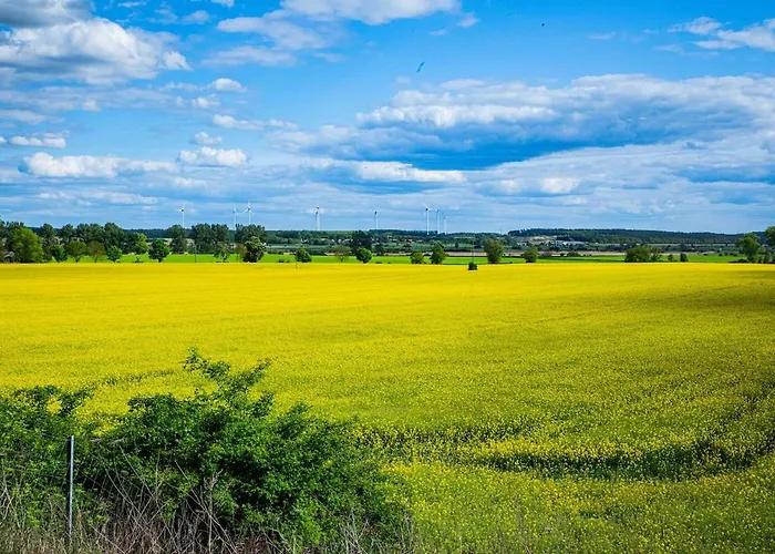 Neu! Ulenhuus Mecklenburgische Schweiz - Familienurlaube Bis Zu 12 Personen * Kuhs